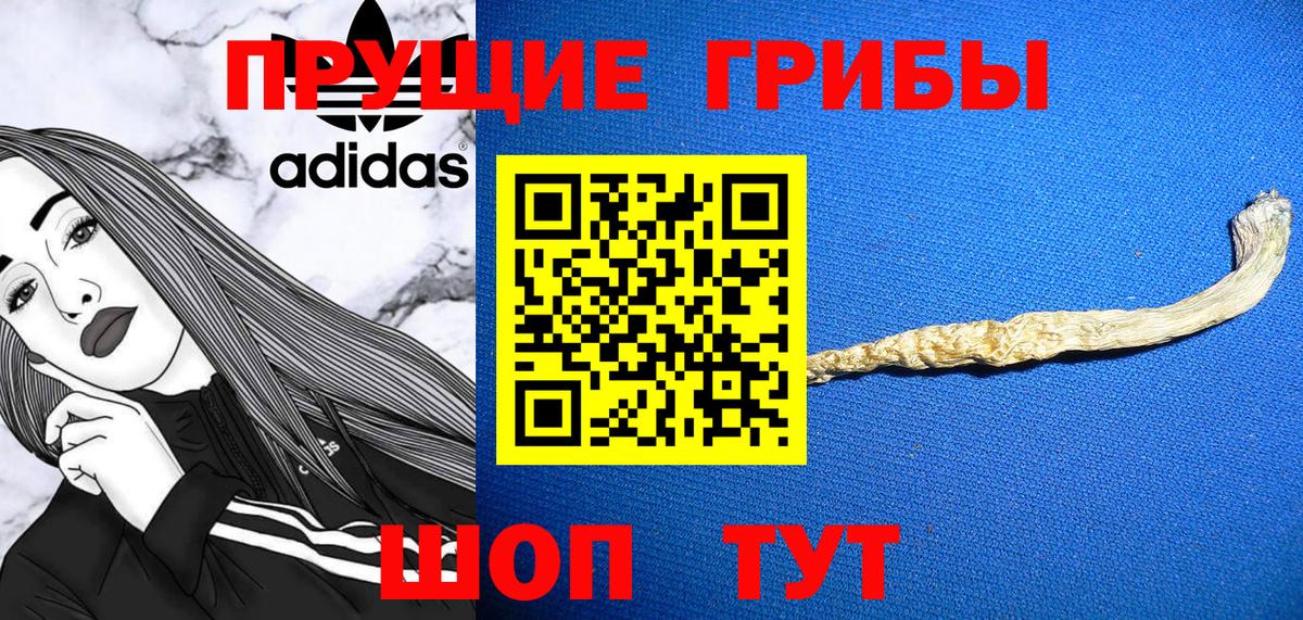Галлюциногенные грибы мицелий  Вход с VPN  Альметьевск  Галлюциногенные грибы Psilocybine cubensis 