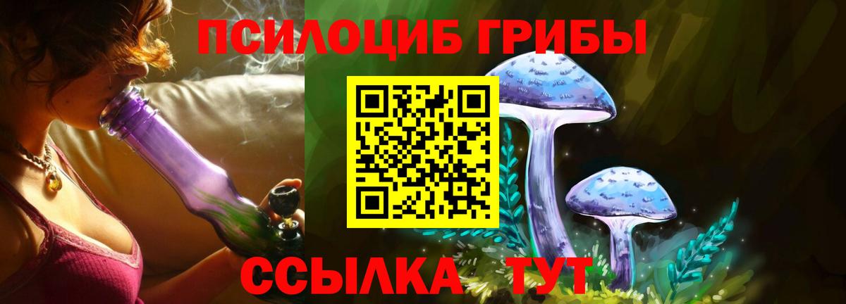Галлюциногенные грибы Psilocybine cubensis Альметьевск